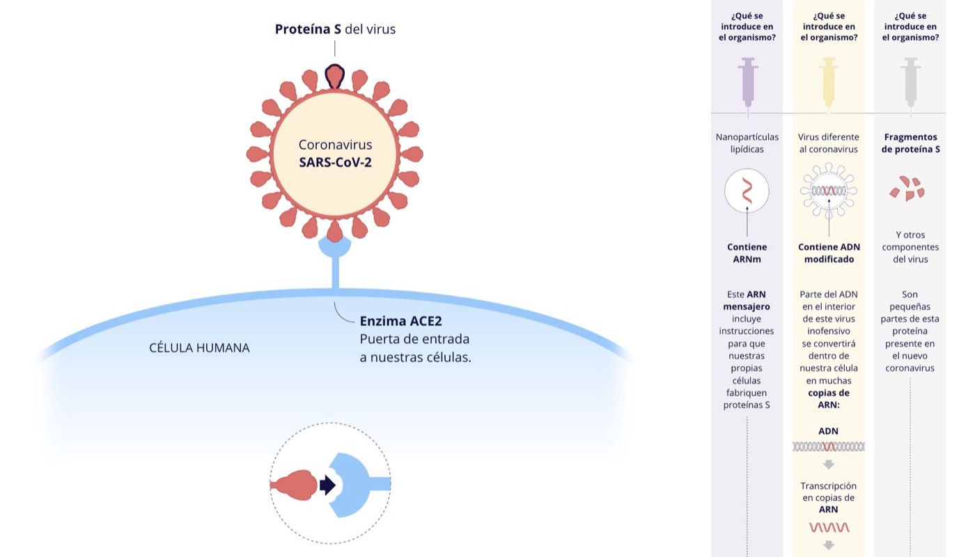 Tipos de vacuna COVID